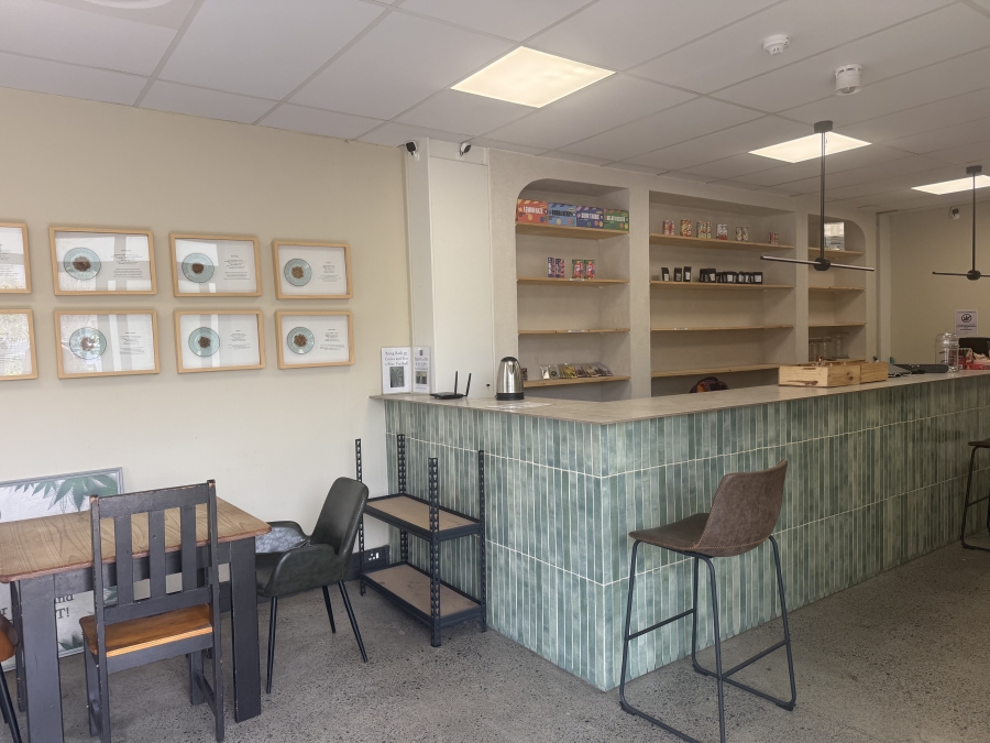 To Let Commercial Property for Rent in Paardevlei Western Cape